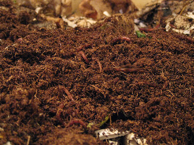 Vermiculture-05 Kg